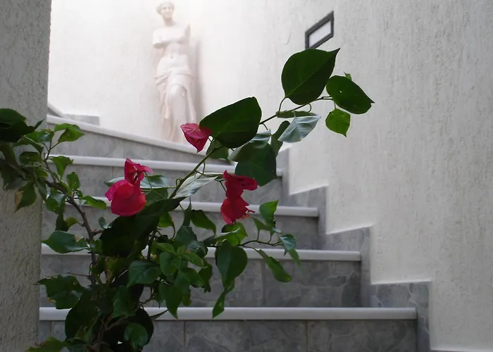 Hotel Ippocampos Studios